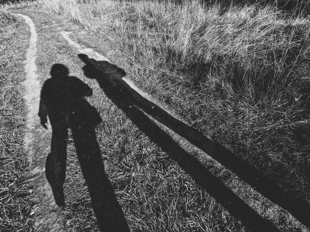 Photograph by Ирина Дубовцова