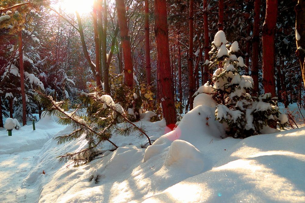 Photograph by Валерий Богачев