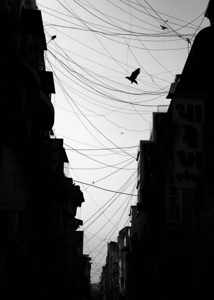 Photograph by Dhruv Makwana