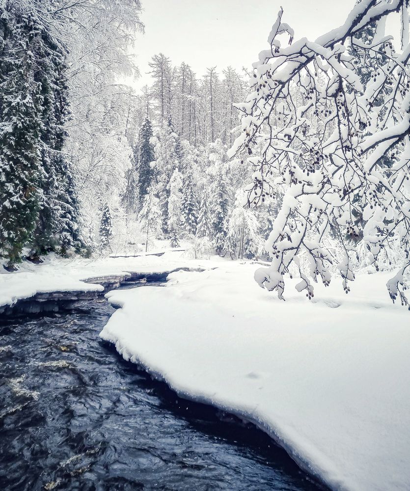 Photograph by Юлия Алексейчикова