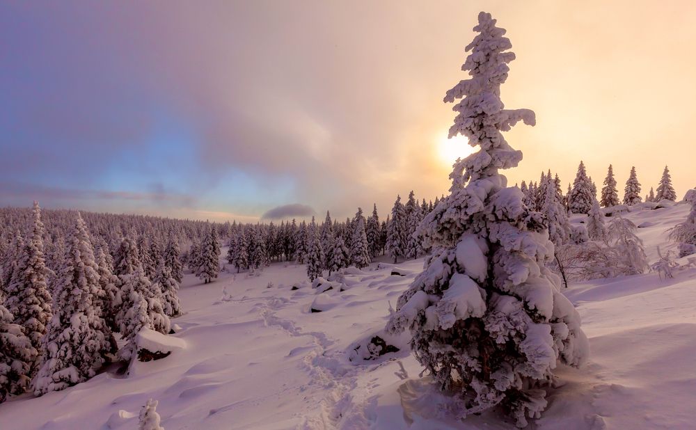 Photograph by Сергей Евдокимов