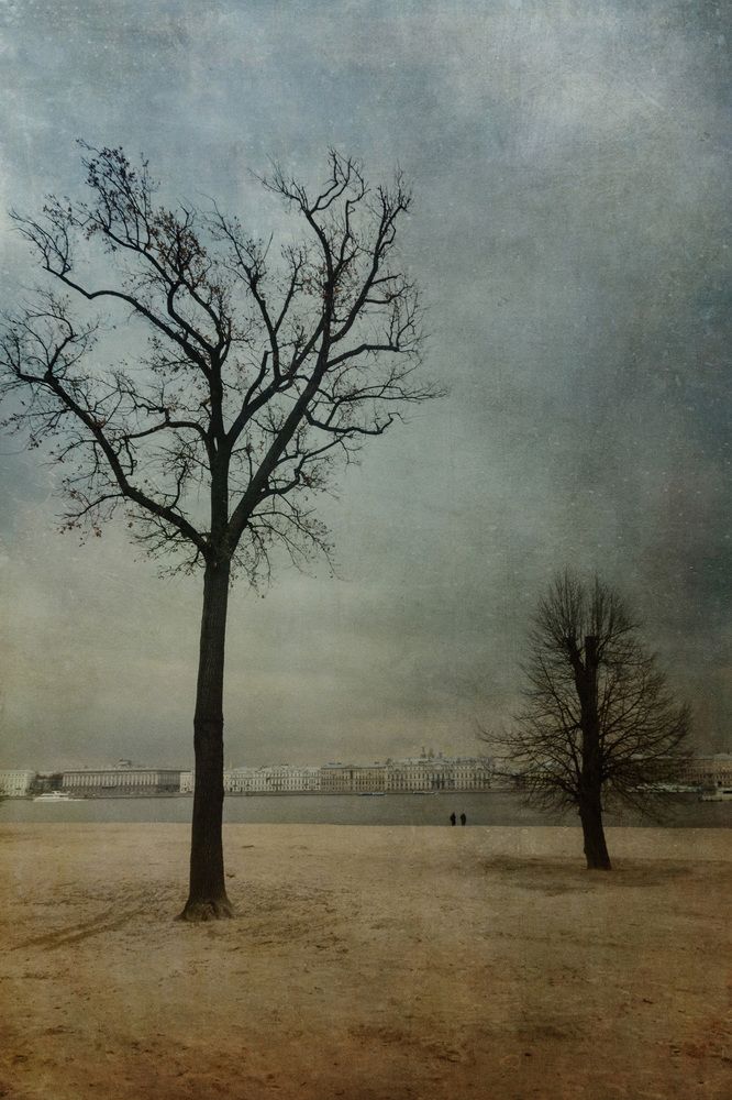 Photograph by Светлана Воробьёва