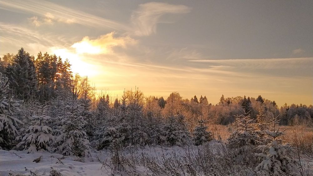 Photograph by Виталий Грачёв