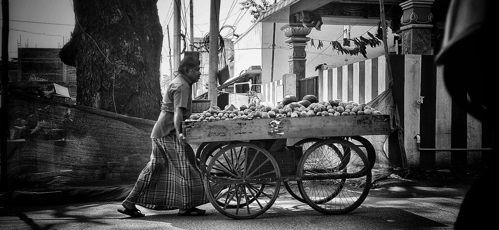 Photograph by Praveen kumar Sampath