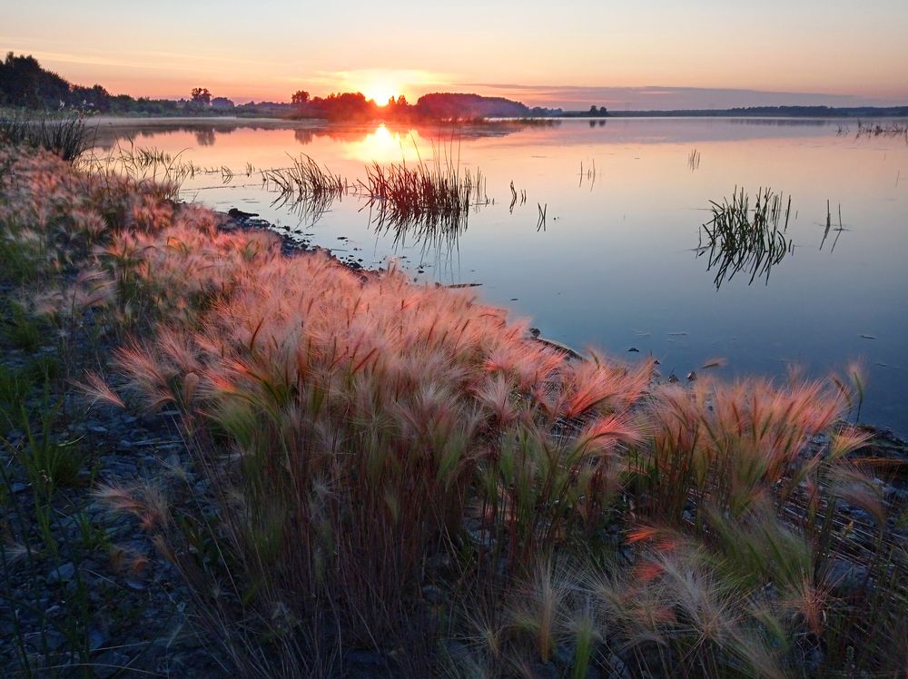 Фотография автора Кухта Мария