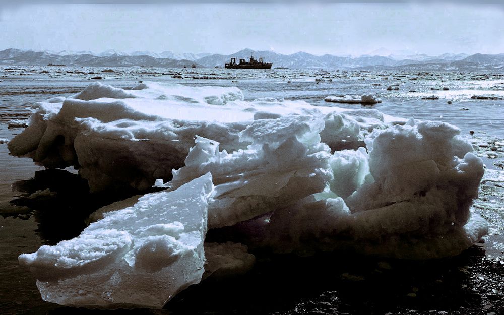 Авачинская бухта