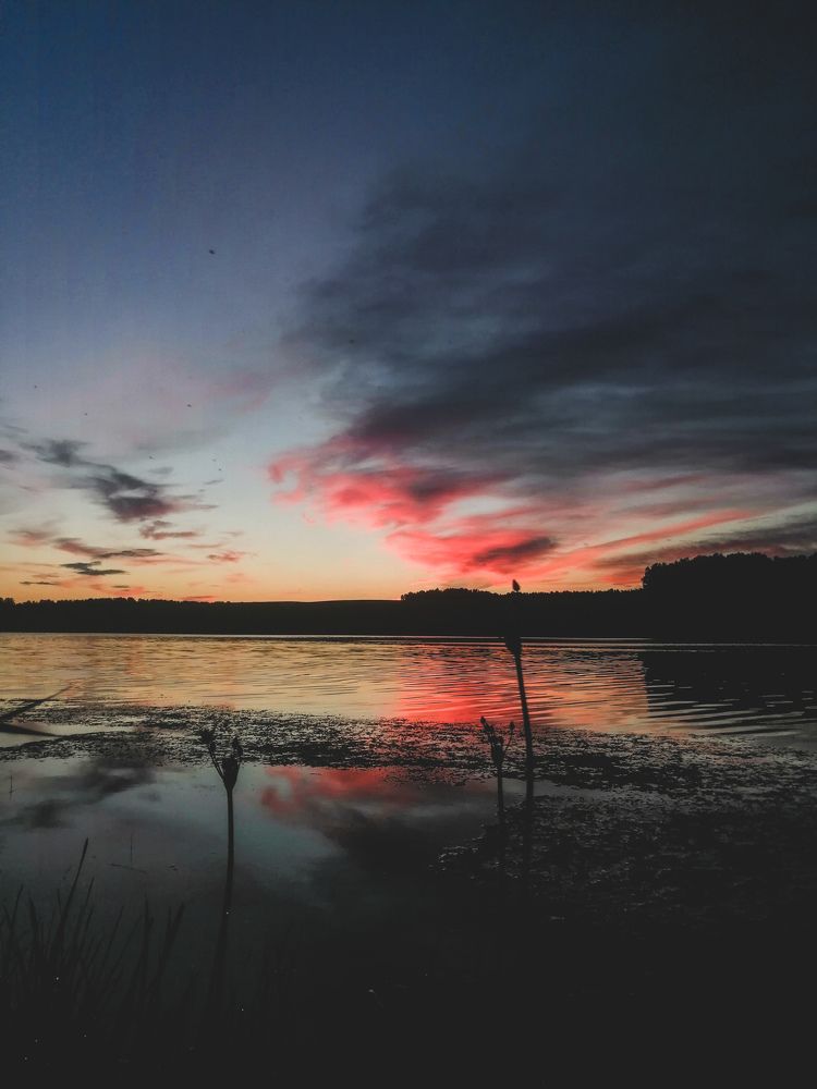 Photograph by Егор Горбунов
