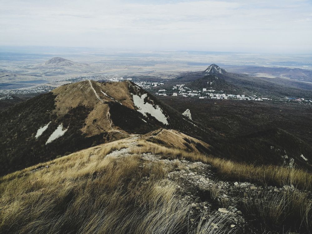 Photo #8517361