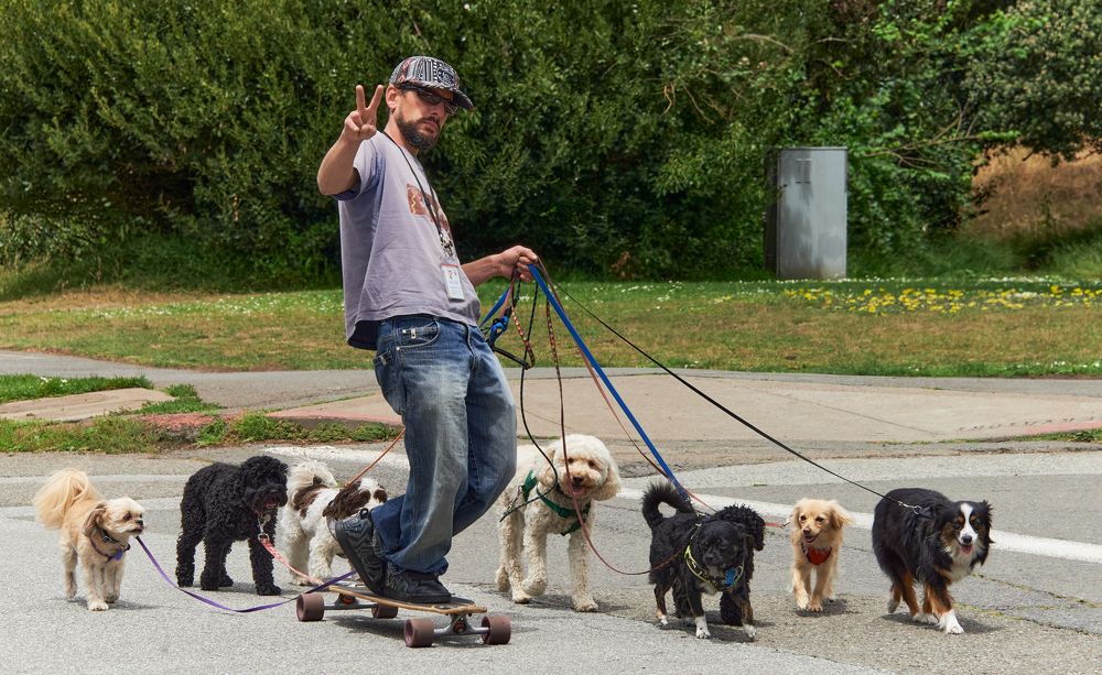 Photograph by Гиль Александр