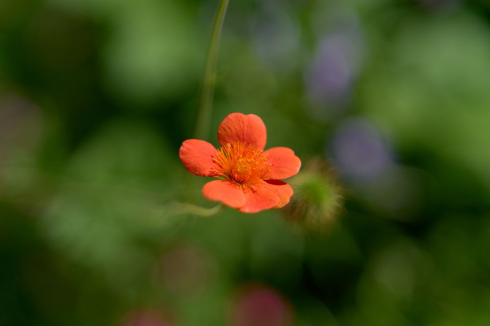 Photograph by Дмитрий Иконников