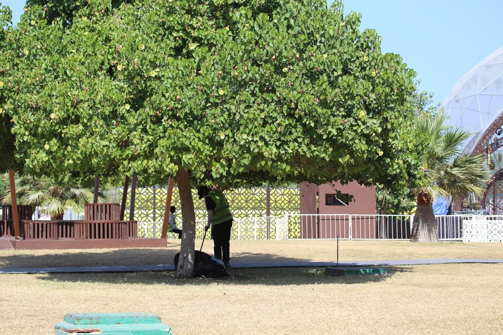 Photograph by Febin Francis