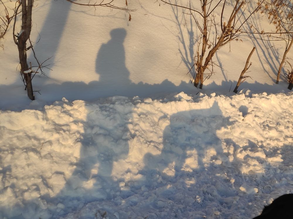 Photograph by Elvira Magsumova