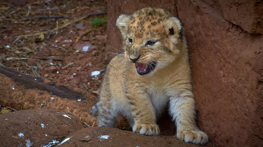 Фотография автора Вячеслав Владимирович