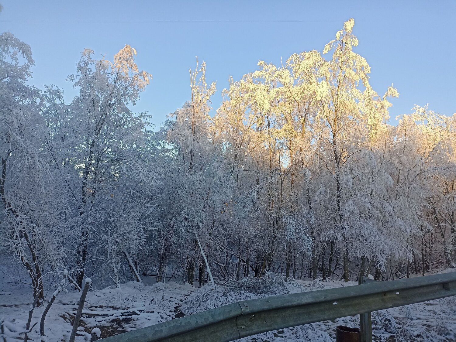 Photo #8517494