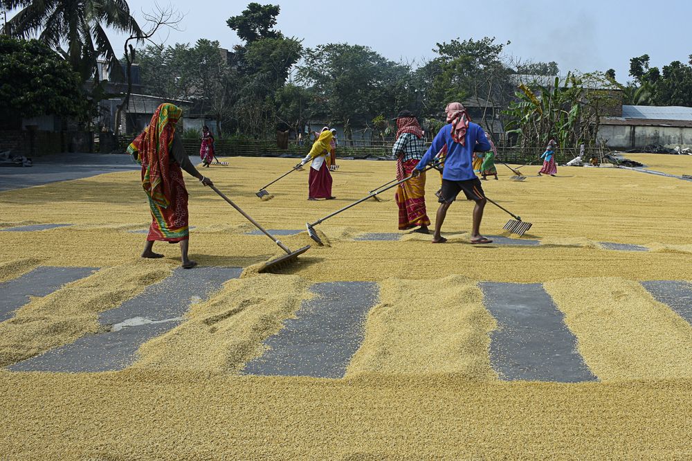 Фотография автора Swati Biswas Guha