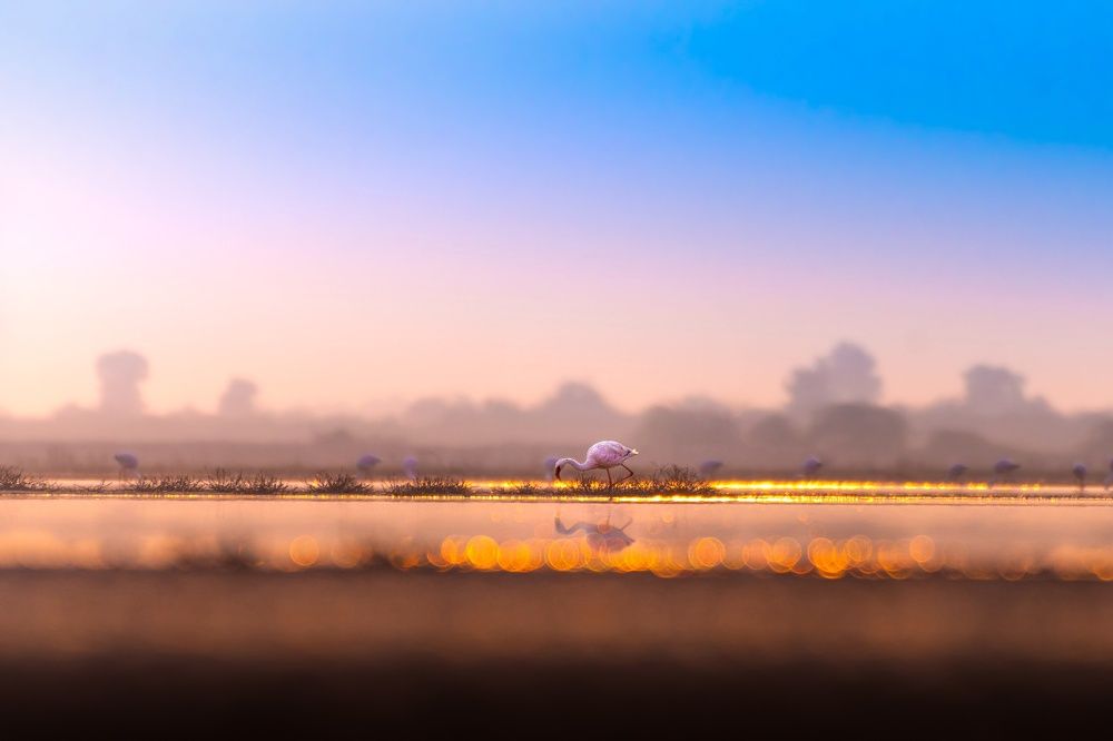 Photograph by kansara parth