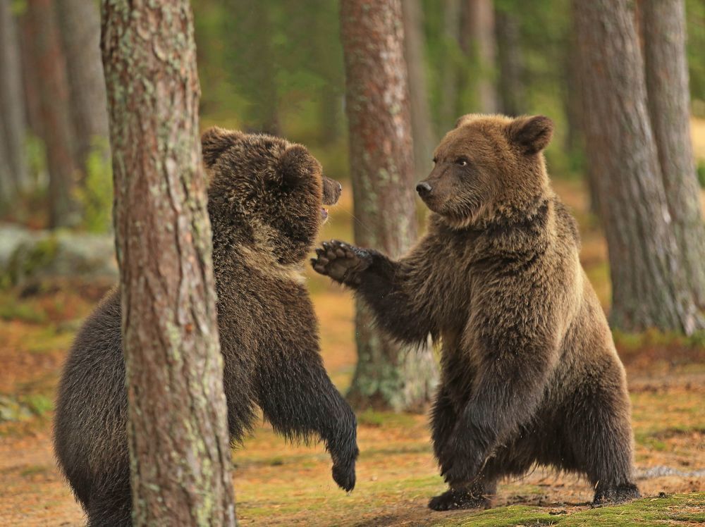 Photograph by Юрий Кетель