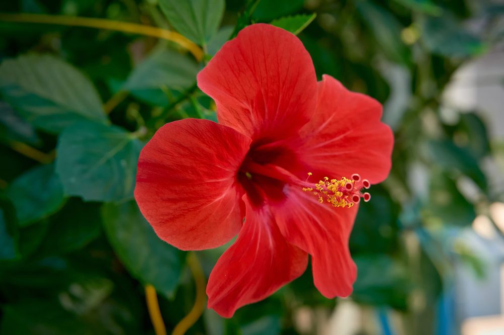 Photograph by Дмитрий Иконников