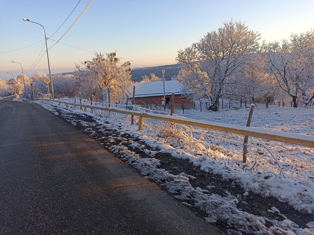 Photo #8517615