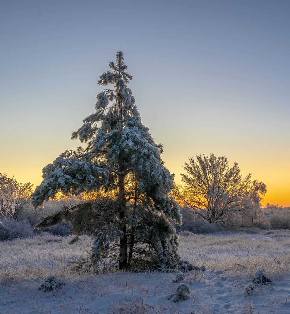 Фотография автора Александр Дюльгер