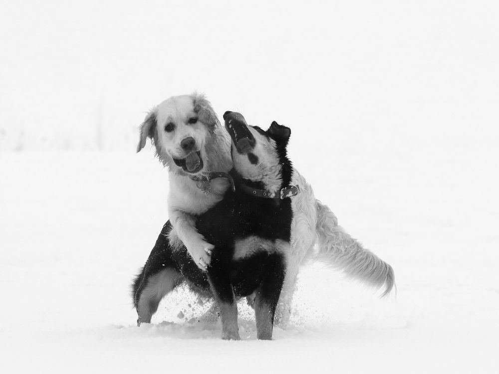 Photograph by Светлана Богомолова