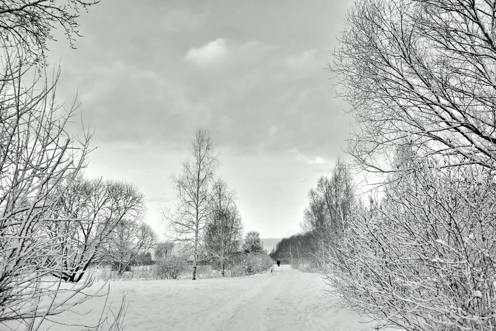 Photograph by НИНА АВЕРЬЯНОВА