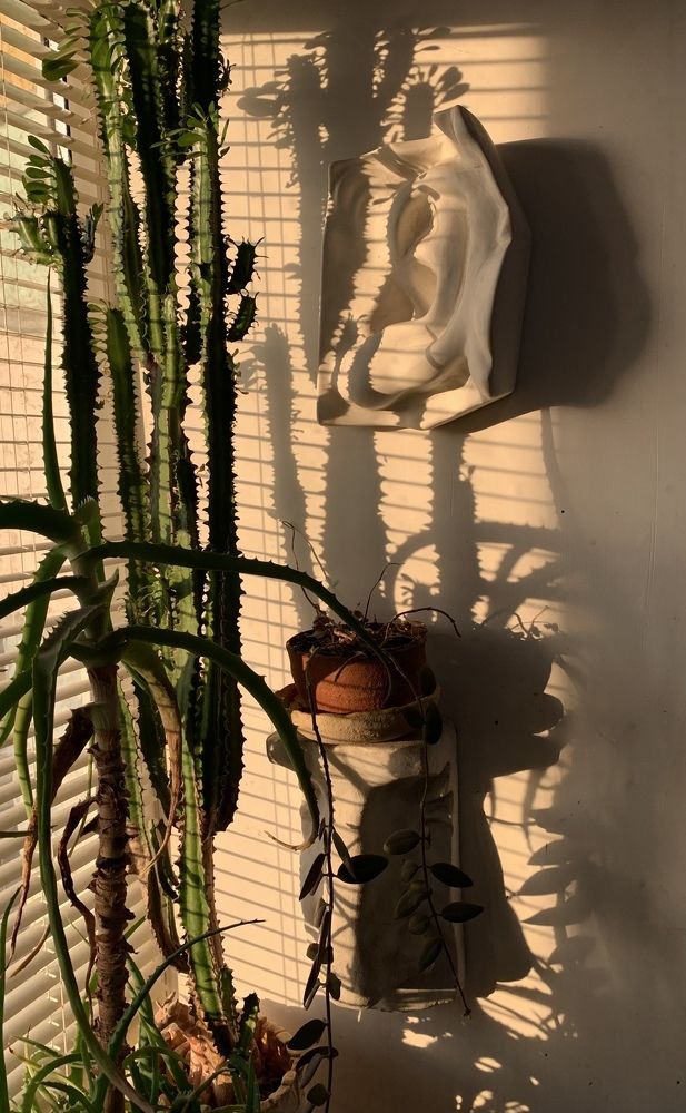 Photograph by Анастасия