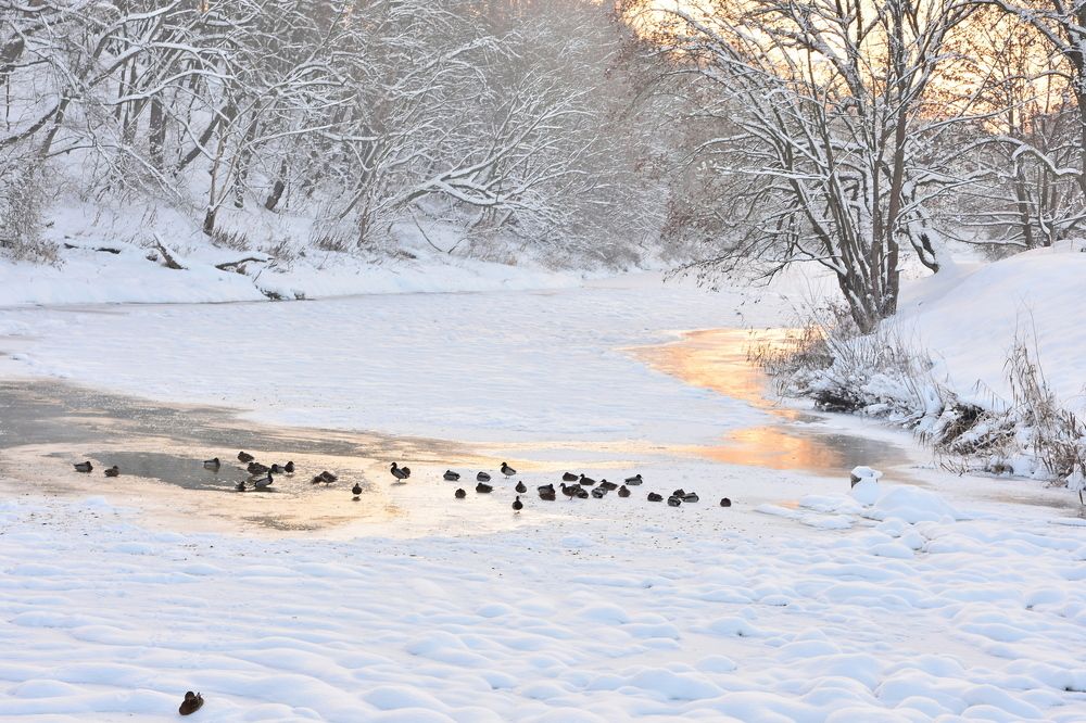 Photograph by Ирина Алексеева