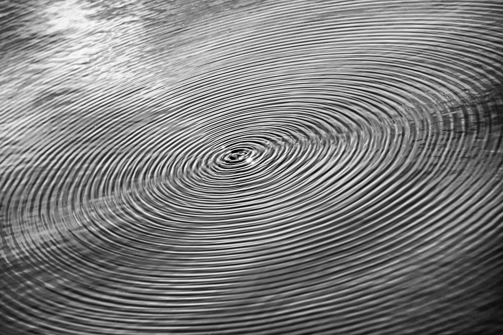 Photograph by Илья Киселев