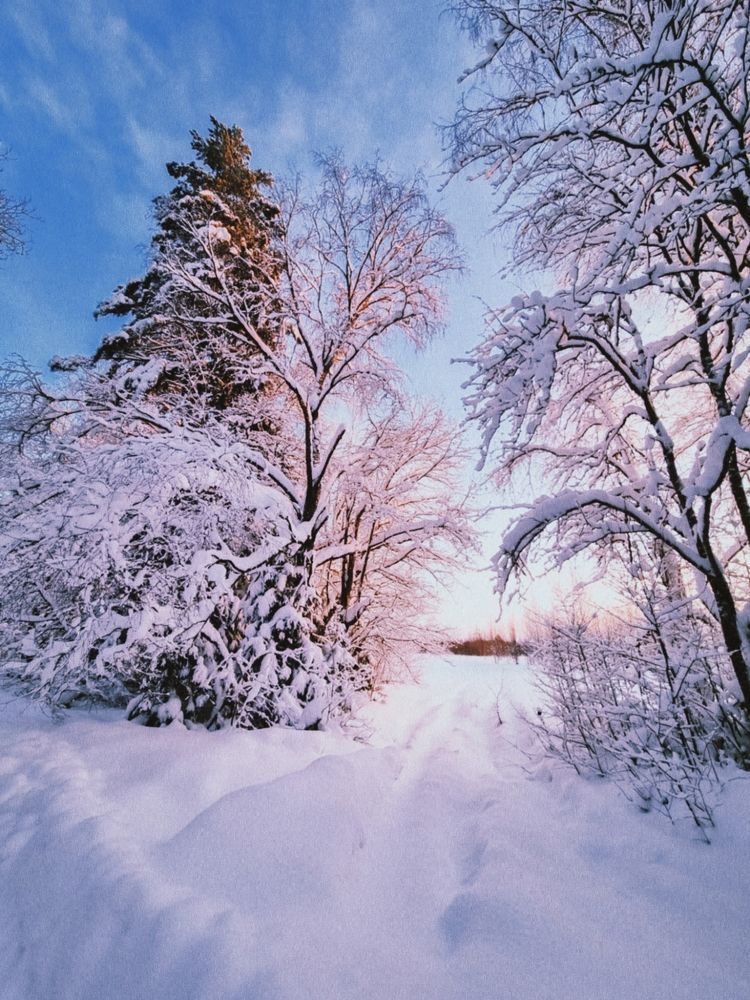 Photograph by Сергей Никифоров