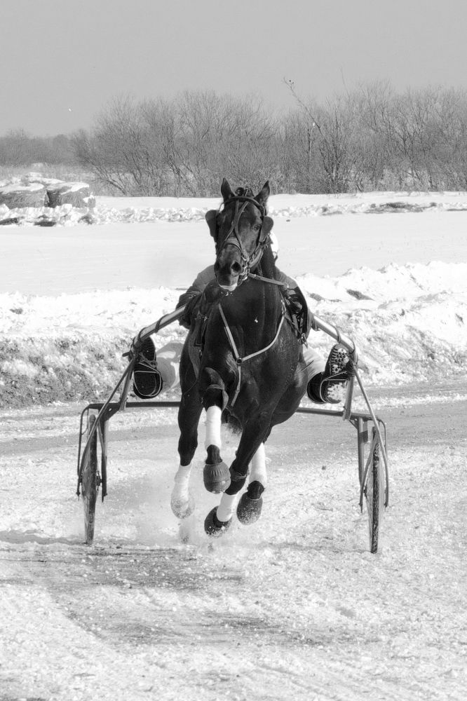 Photograph by Роман Сычев