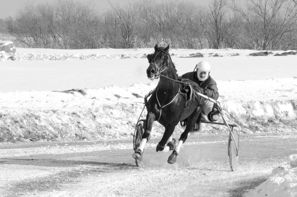 Photograph by Роман Сычев