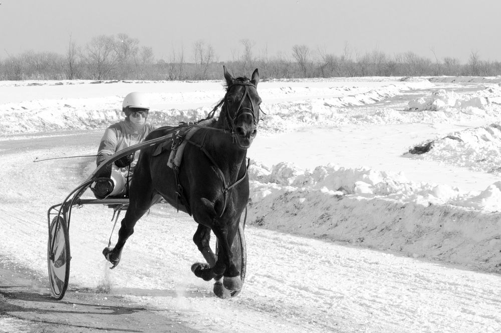 Photograph by Роман Сычев