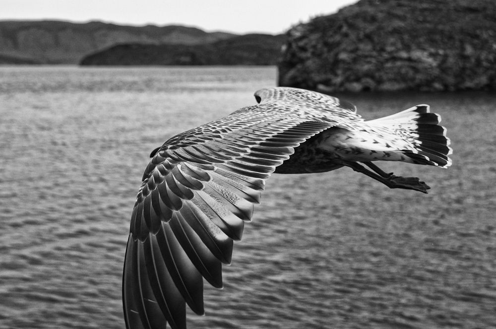 Photograph by Илья Киселев