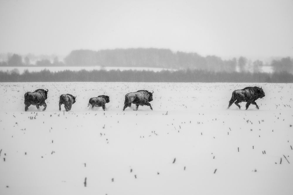 Photograph by Константин Кукушкин