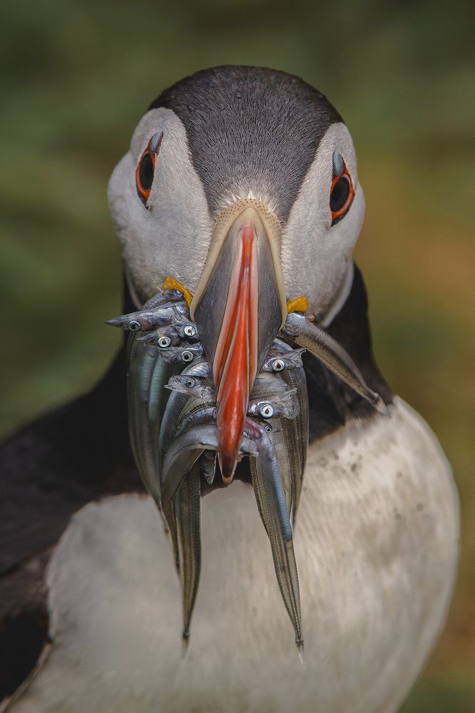 Photograph by Ernestas Balcikonis