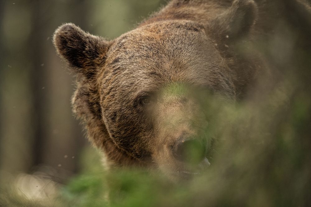 Photograph by Ernestas Balcikonis