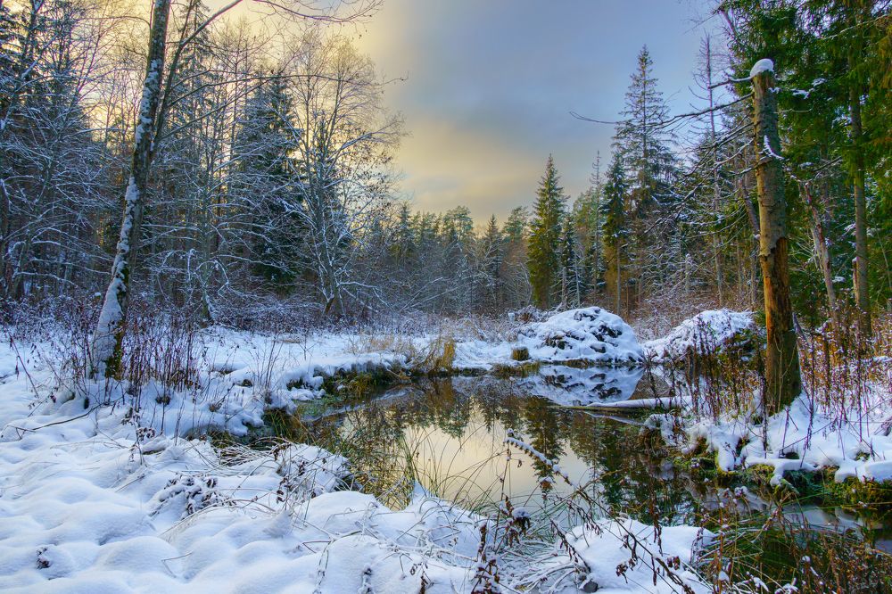 Photograph by Valdis Serzhans