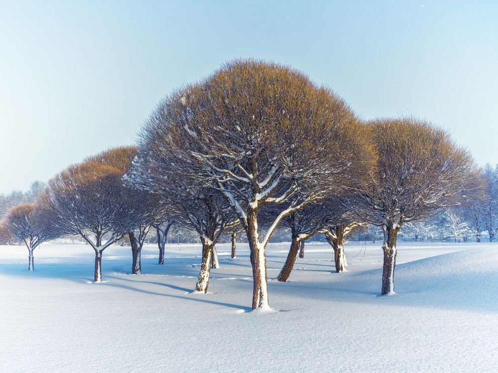 Photograph by Andrei Zudov