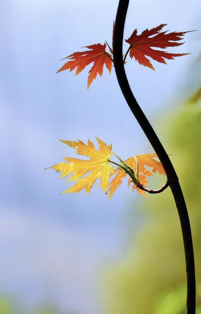 Photograph by Искандар Газизов