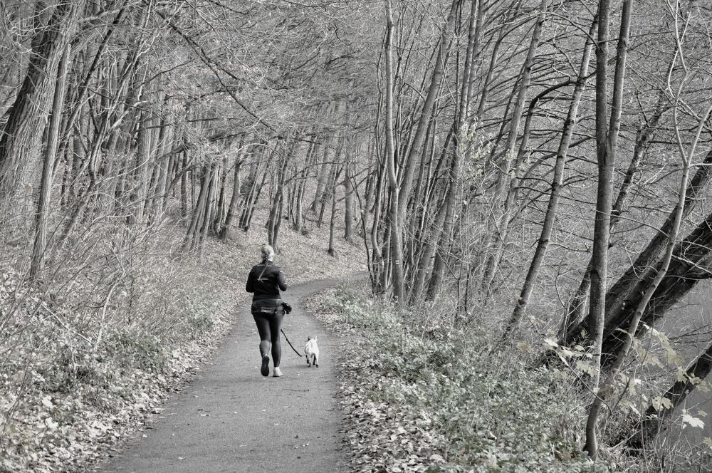 Photograph by Лысых Галина