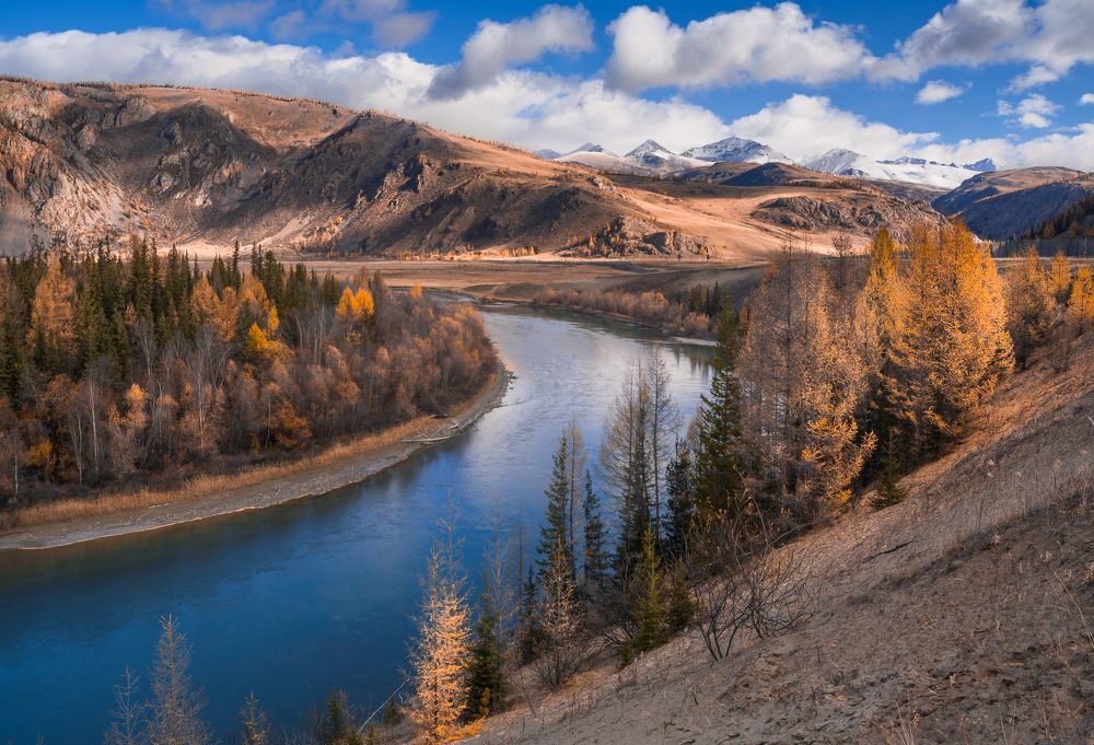 Здесь Чуя делает изгиб