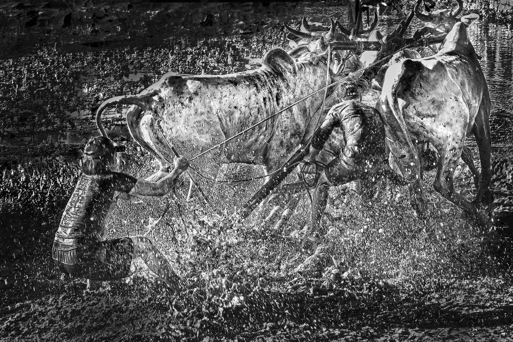 Photograph by Vy Van Bui