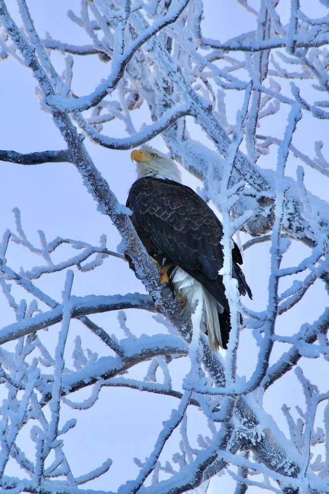 Photograph by Jared Solberg