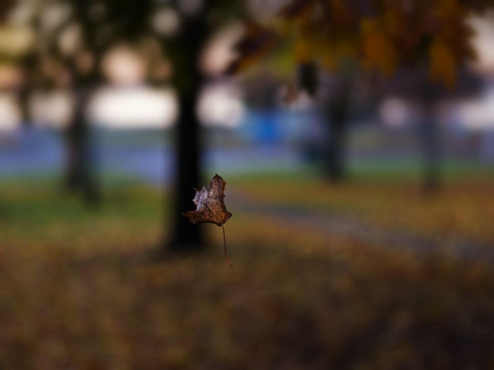 Photograph by Hakan Aker