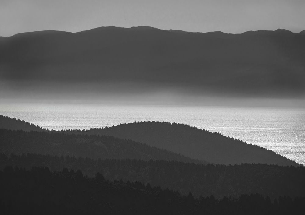 Photograph by Анна Бокова