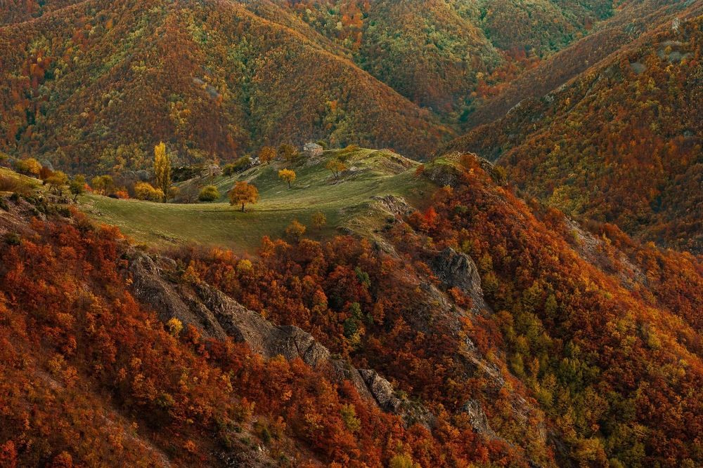 Photograph by Димитър Митрев