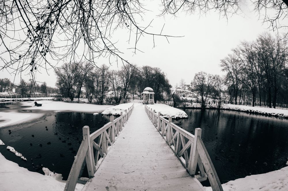 Photograph by Сергей Золотоверхий