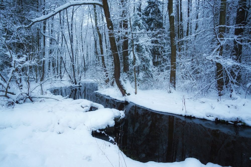 Фотография автора Андрей Врубель