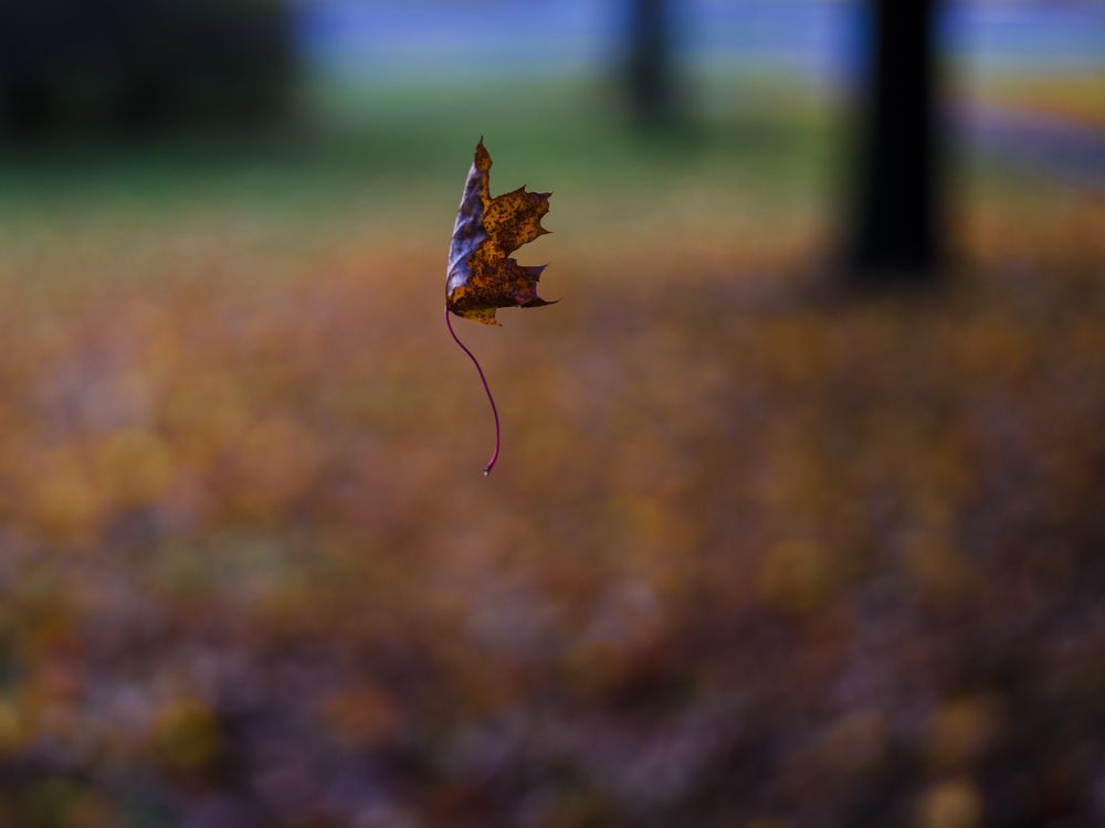 Photograph by Hakan Aker